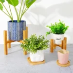 Natural Grace Bamboo Plant Stand - 05